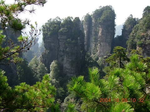 Fenglin King - Tianzishan